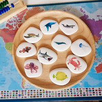 océan, Montessori, galets pédagogiques, poisson, mer, dauphin, requin