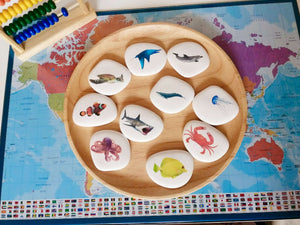 océan, Montessori, galets pédagogiques, poisson, mer, dauphin, requin