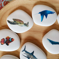 Montessori, galets pédagogiques, océan, poisson, mer, dauphin, requin